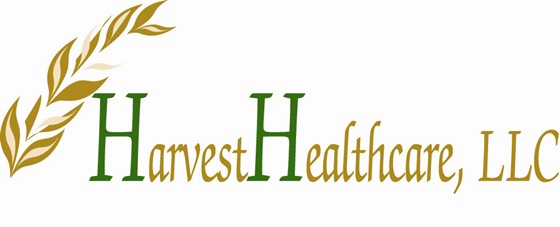 Logo Designs: Freelance Design Logo Artwork